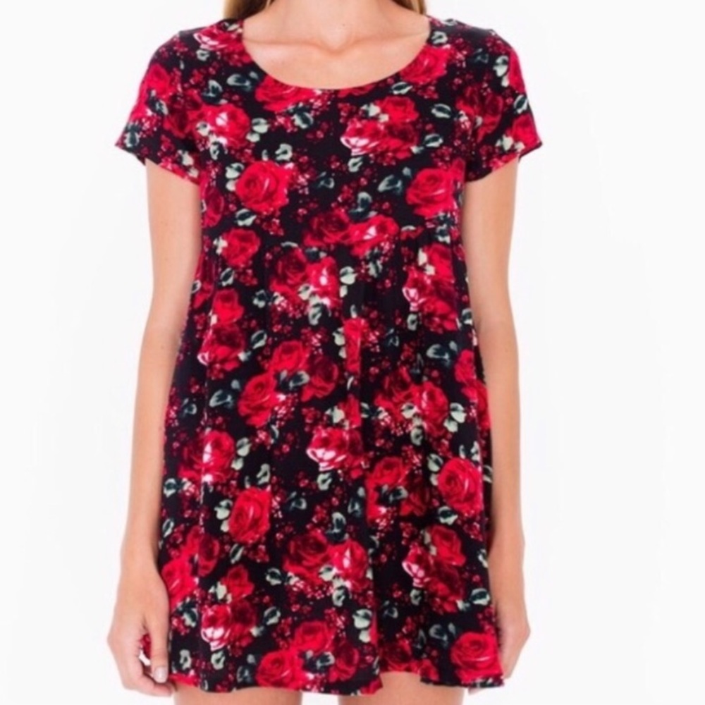 American Apparel rose floral babydoll dress